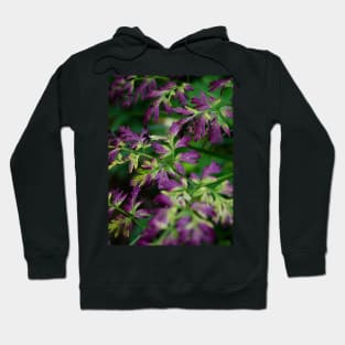 Autumnal purple leaves in the forest Hoodie